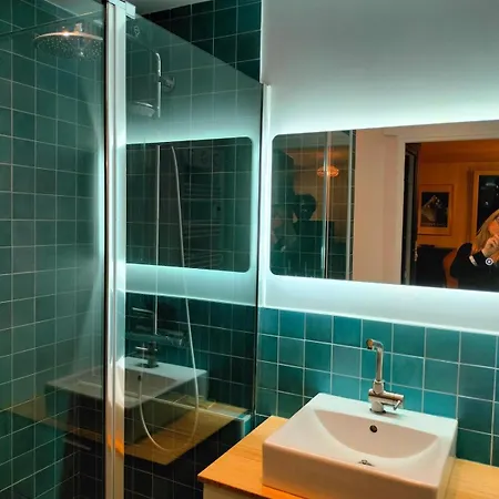 Tres Bel Cosy Refait Avec Gout - Very And Cozy Redone With Taste! Apartment Grenoble